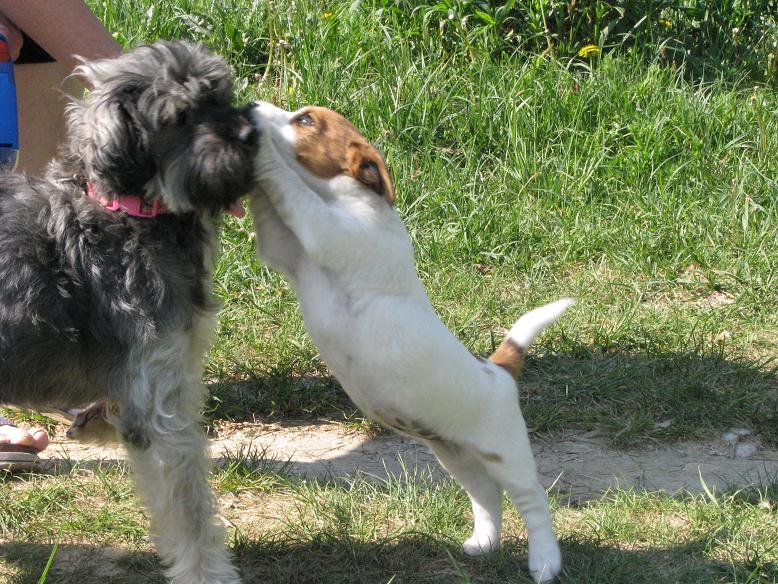 Penny poprvé se sousedkou Betty. Od té doby se Penny bojí.