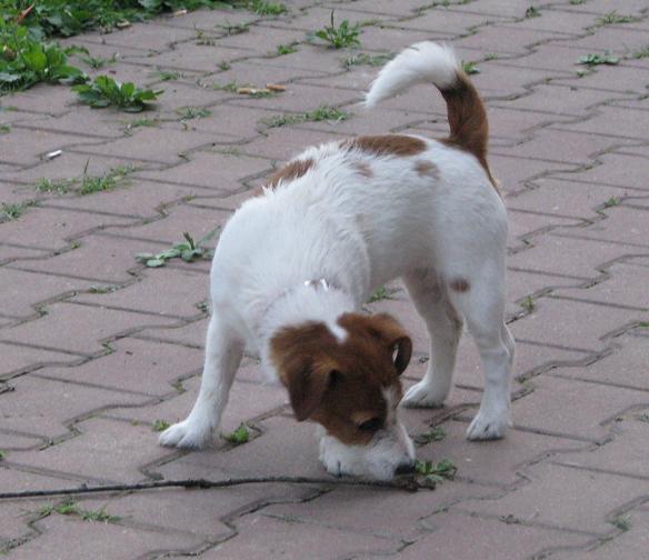 Klacík