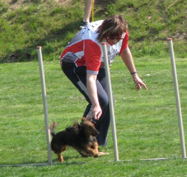 Anetka ve slalomu
